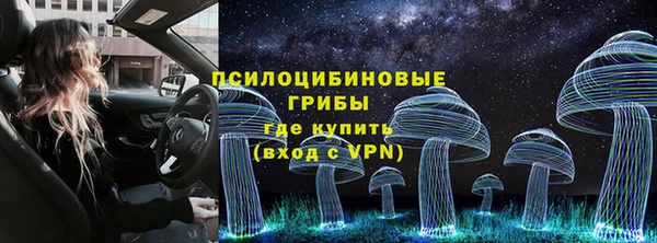 apvp Арсеньев