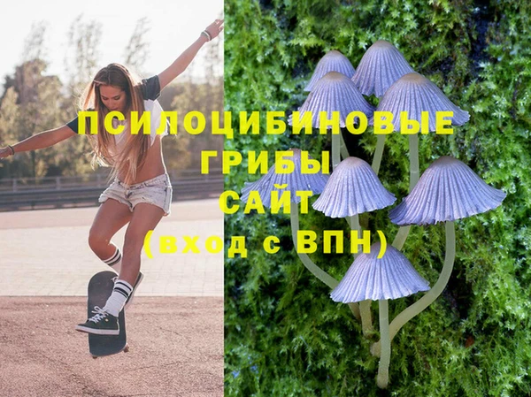 трава Алзамай
