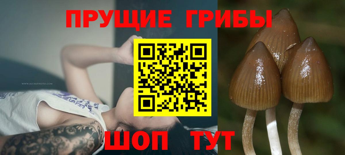 Галлюциногенные грибы мухоморы  Вход с VPN  Псилоцибиновые грибы мицелий  Нарткала 
